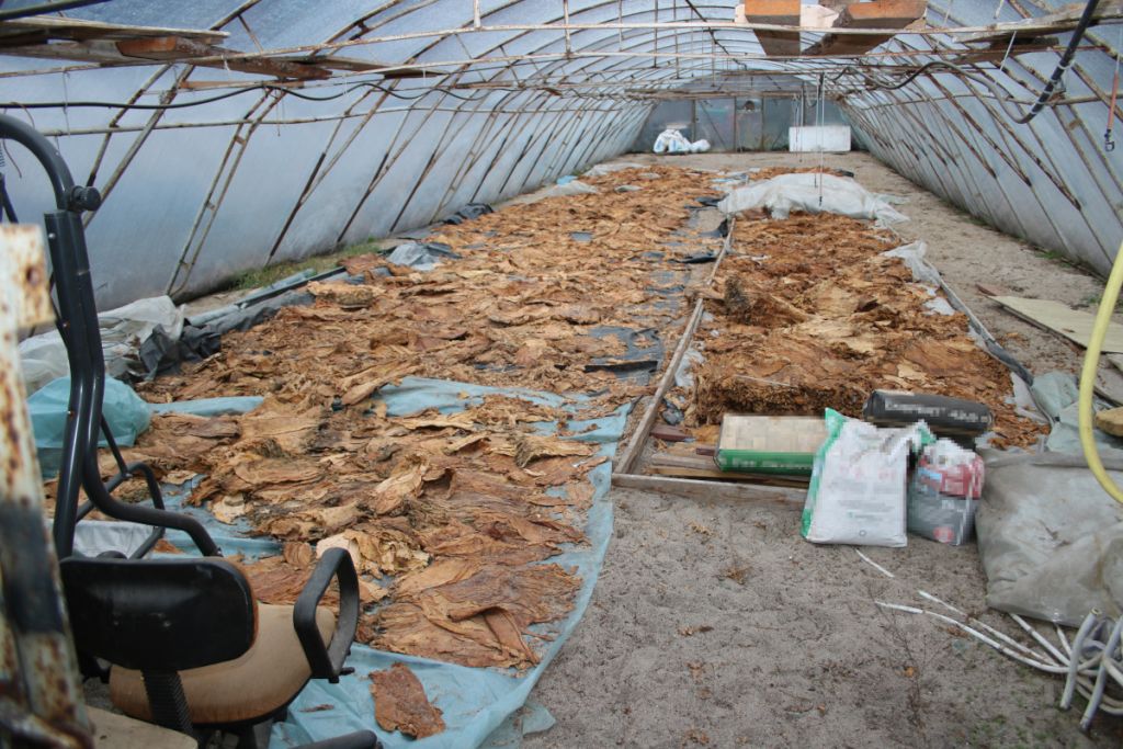 Arysta LifeScience, choroby, białko, grzyby, Alternaria tenuissima, Atailing, warzywa, tytoń