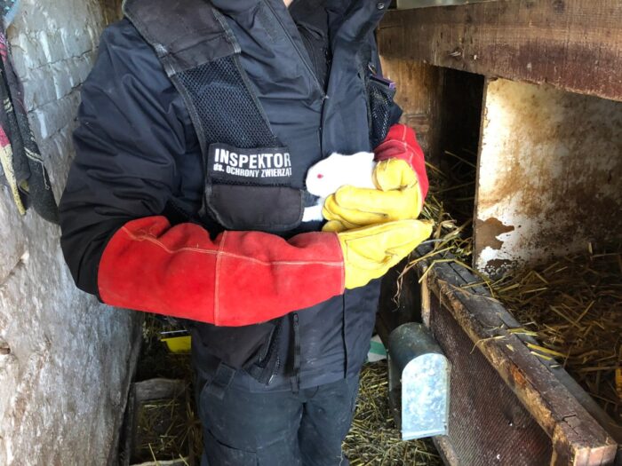 policja, przestępstwo, dolnośląskie