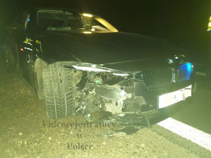 dzik, wypadek, pomorskie, mazowieckie