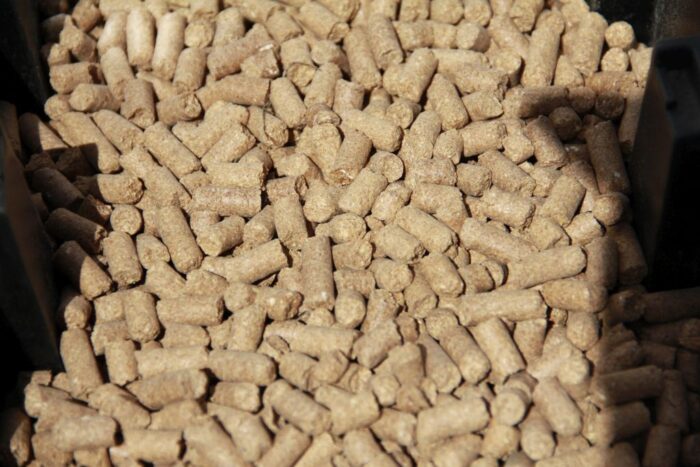 Targi Ferma, Znak Nowość, Złoty Medal, bydło mleczne, pasza