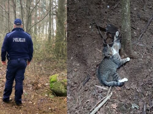 kłusownictwo, lesko, gmina Skalbmierz, Państwowa Straż Rybacka