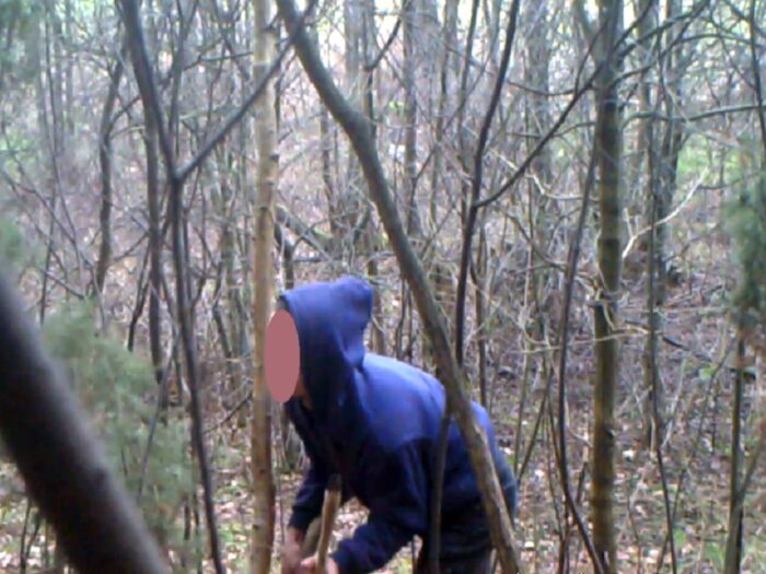 kłusownictwo, Nadleśnictwa Lubartów, akcja kłusownik, walka z asf, balewo, sztum, straż leśna