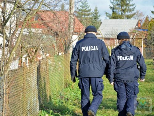 kradzież, policja, kradzież paszy z gospodarstwa