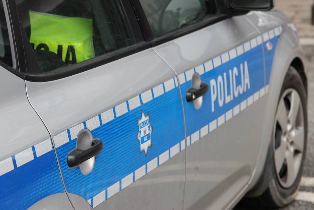 HPAI, grypa ptaków w Polsce, lubelskie, ptasia grypa w gminie Uścimów