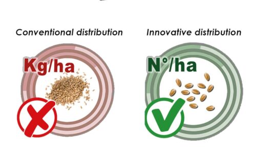Pro-Seeder_system fotokomórek pozwalający siać nasiona w sztukach na metr kwadratowy