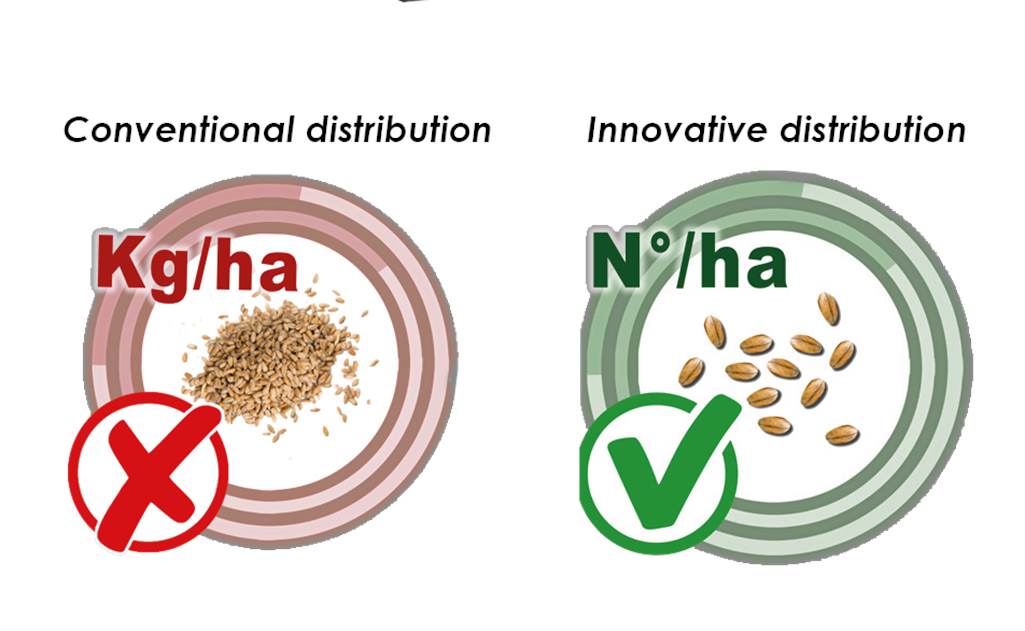Pro-Seeder_system fotokomórek pozwalający siać nasiona w sztukach na metr kwadratowy