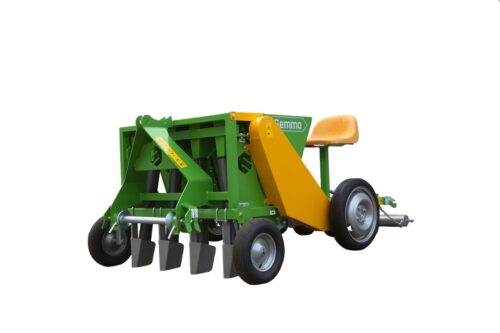 Sadzarka Gemma do czosnku