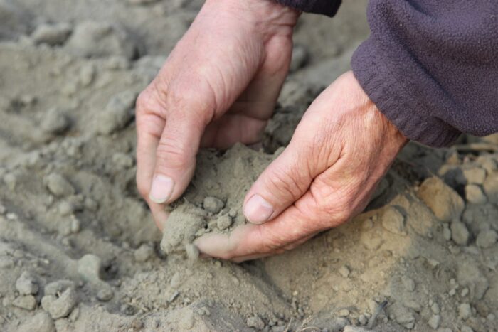 susza, straty w uprawach, retencja wody