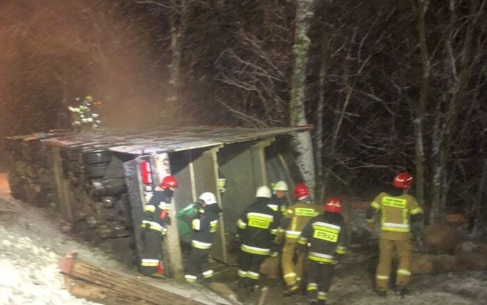 Instytut Ekonomiki Rolnictwa i Gospodarki Żywnościowej, poglowie świń w polsce, trzoda chlewna
