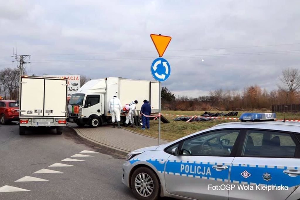 Wierzbica, powiat legionowski, transport świń, powiatowy lekarz weterynarii