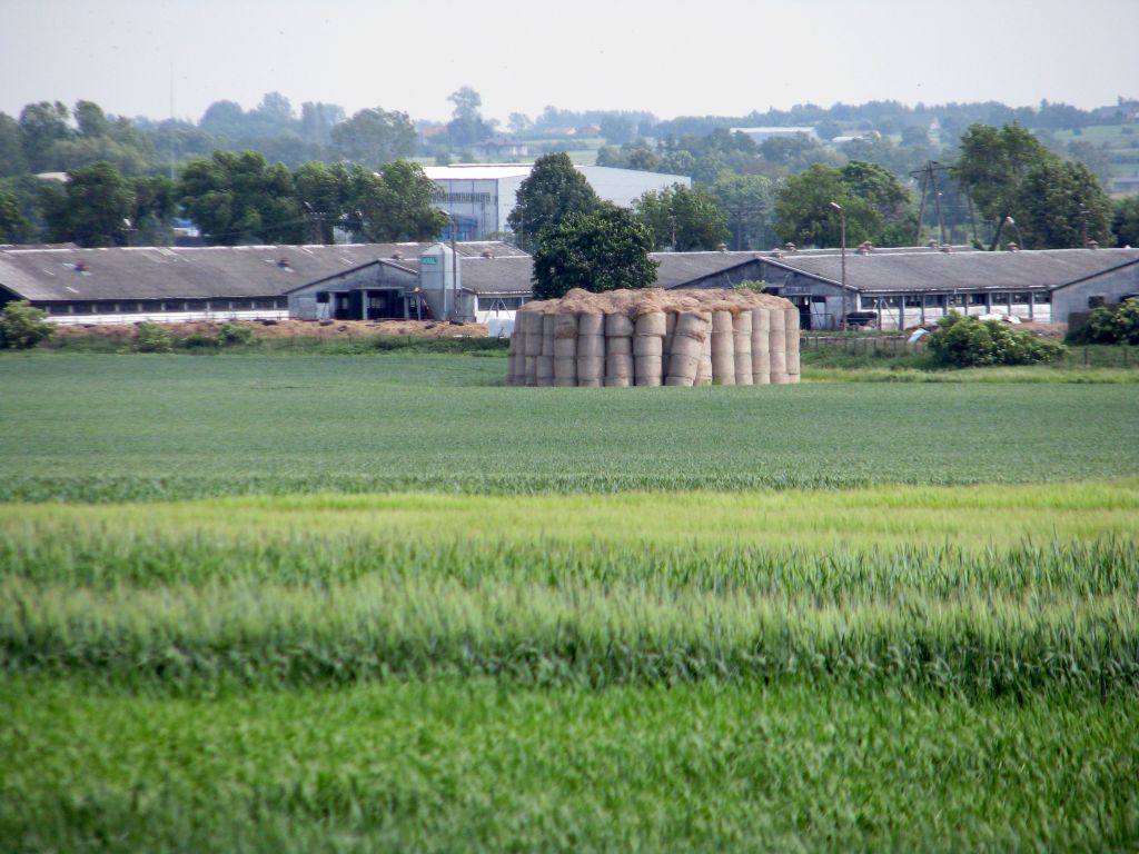 ETO, technologia obrazowania