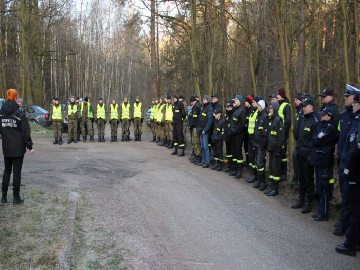 walka z asf w polsce, powiat opoczyński, opolszczyzna, zamykanie przejść dla zwierząt