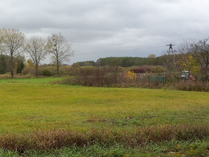 nawożenie, NIK, raport, gleba, uprawa, badanie gleby