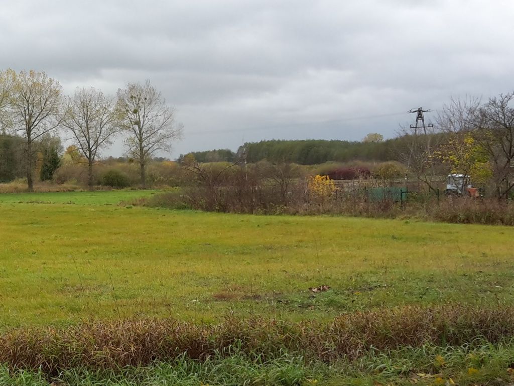 nawożenie, NIK, raport, gleba, uprawa, badanie gleby