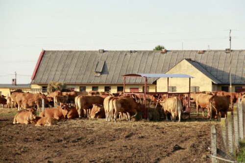 tarcza antykryzysowa 2.0, zasiłek dla rolników i domowników na czas kwarantanny