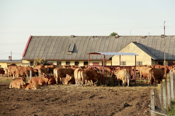 tarcza antykryzysowa 2.0, zasiłek dla rolników i domowników na czas kwarantanny