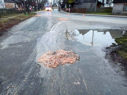 wnętrzności drobiowe na dordze, Poświętne, powiat opoczyński
