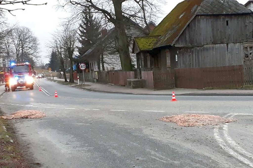 wnętrzności drobiowe na dordze, Poświętne, powiat opoczyński