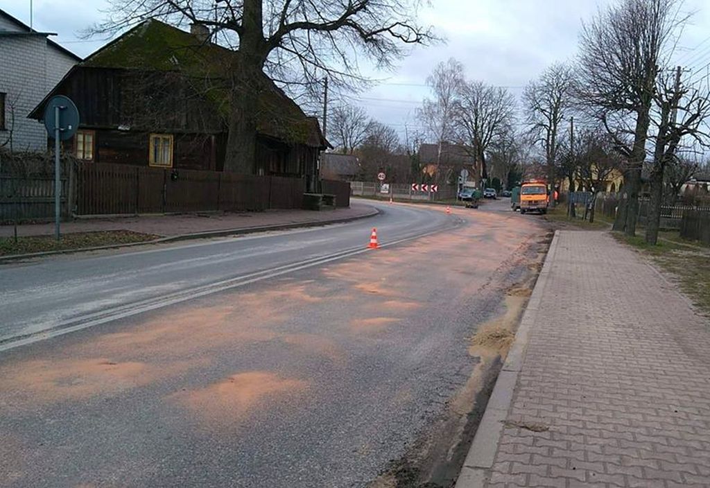 wnętrzności drobiowe na dordze, Poświętne, powiat opoczyński