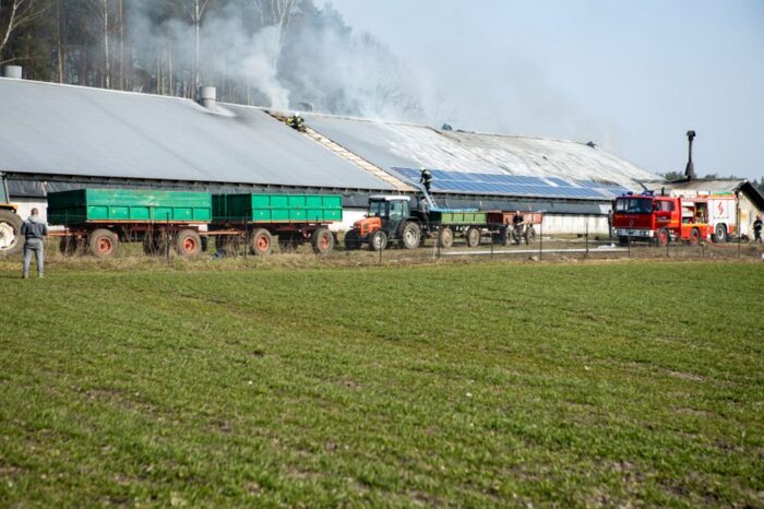 pożar kurnika, Rudka, powiat szczycieński,  Łukasz Wróblewski, pożary w gospodarstwach