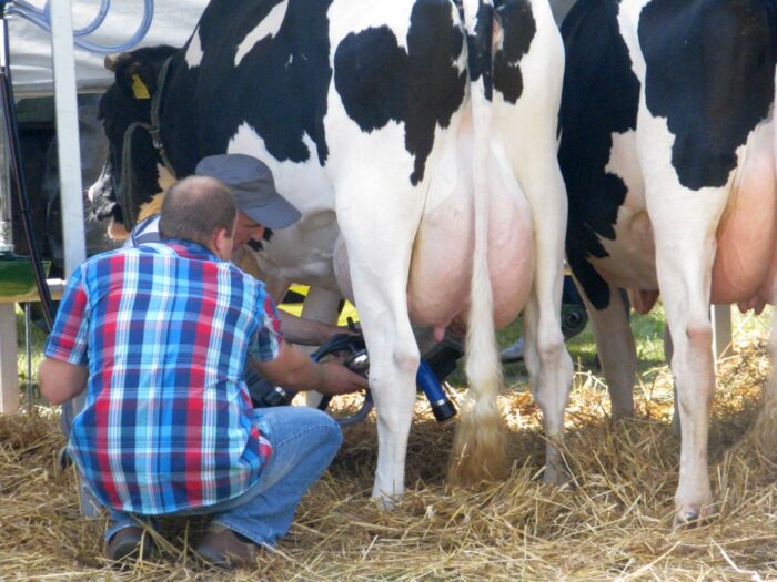 PFHBiPM, polska izba mleka, rynek mleka, koronawirus