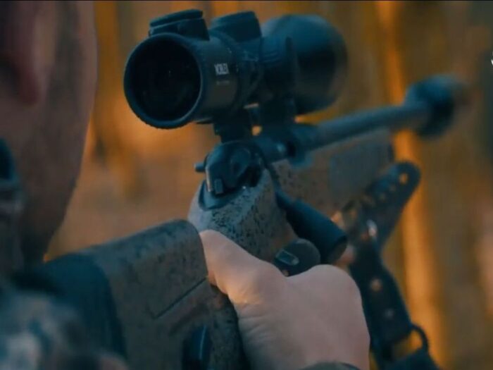 polski związek łowiecki, odstrzał dzików, walka z asf w polsce, epidemia koronawirusa