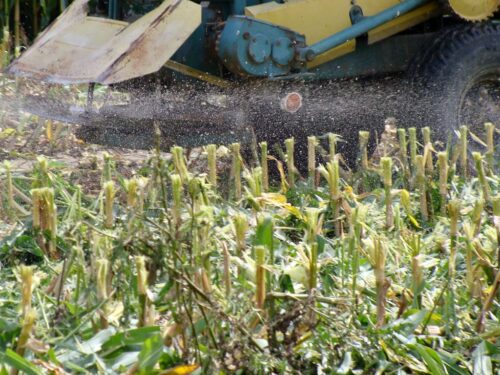 oszustwa w internecie, przasnysz, rozsiewacz wapna RCW, powiat mławski