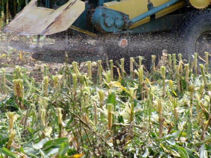 oszustwa w internecie, przasnysz, rozsiewacz wapna RCW, powiat mławski