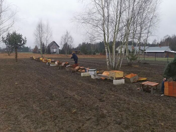 zniszczona pasieka, Grabów nad Pilicą, powiat kozienicki, pszczelarstwo, pasieka edukacyjna