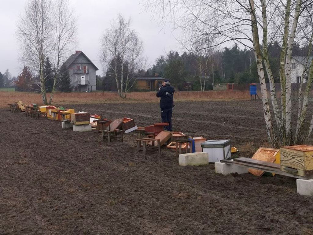 zniszczona pasieka, Grabów nad Pilicą, powiat kozienicki, pszczelarstwo, pasieka edukacyjna