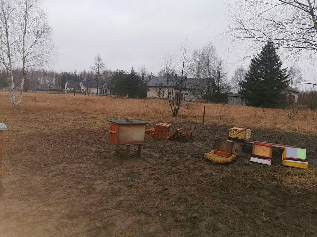 zniszczona pasieka, Grabów nad Pilicą, powiat kozienicki, pszczelarstwo, pasieka edukacyjna