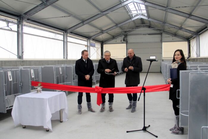 HZiNR Polanowice, otwarcie cielętnika, bydło mleczne, kojce indywidualne,