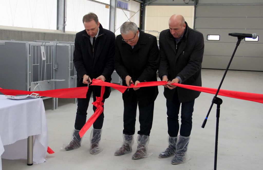 HZiNR Polanowice, otwarcie cielętnika, bydło mleczne, kojce indywidualne,
