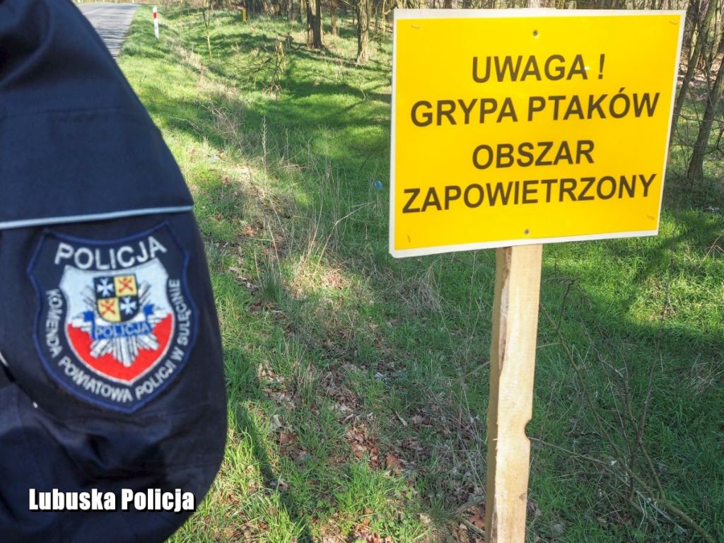 powiat  sulęciński, ptasia grypa, ferma indyków, Klaudia Richter
