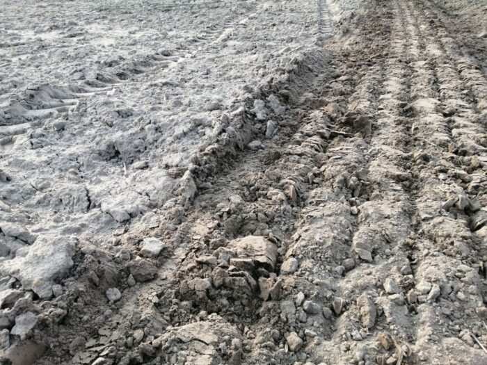 bezumowne użytkowanie gruntów rolnych, dzierżawa ziemi, jan białkowski