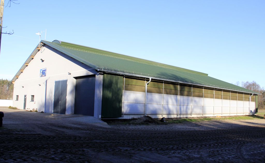 roboty udojowe, bydło mleczne, modernizacja, mleko, obora, robot do podgarniania paszy, stacja paszowa