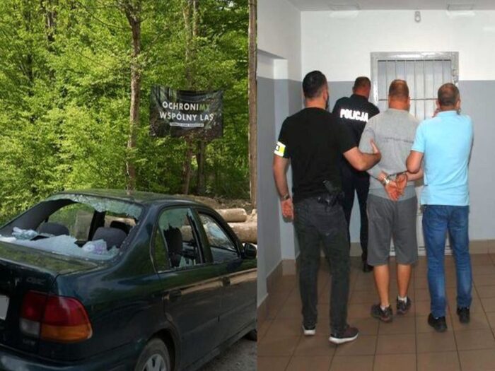 Inicjatywa Dzikie Karpaty, Turnicki Park Narodowy, wycinka drzew, Arłamów, Pogórze Przemyskie