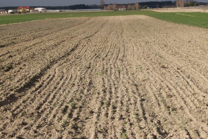 ziemia, grunty rolne, dzierżawa, stawki czynszu, KOWR, ustawa o kształtowaniu ustroju rolnego