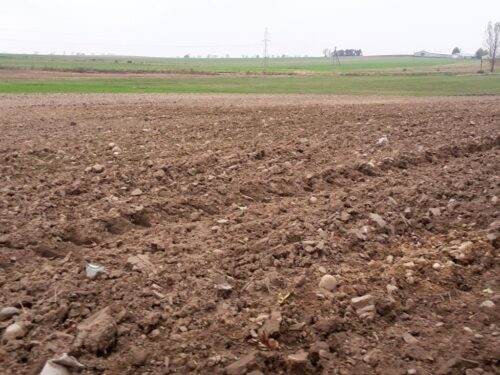 wielkopolska izba rolnicza, kowr, ceny ziemi, dzierżawa ziemi, przetargi ograniczoe