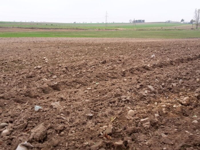 wielkopolska izba rolnicza, kowr, ceny ziemi, dzierżawa ziemi, przetargi ograniczoe