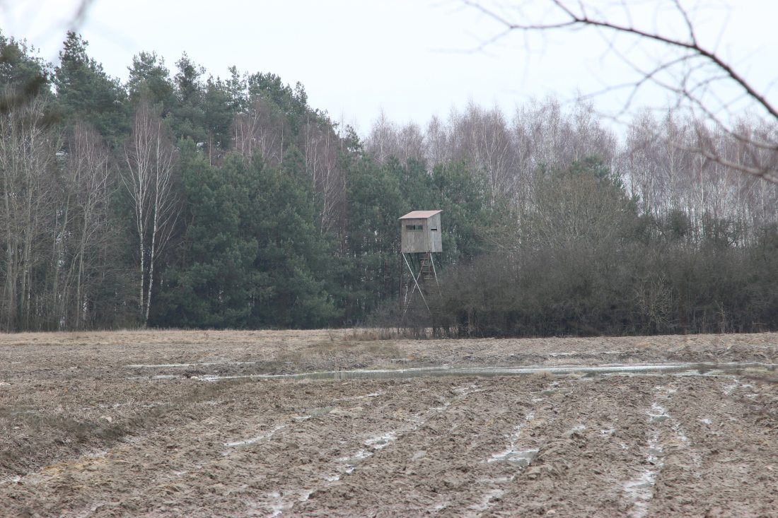 dzieci na polowaniu, ustawa, prawo, Sejm