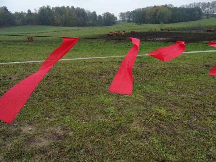 fladry, ochrona zwierząt gospodarskich, RDOŚ w Olsztynie, Justyna Januszewicz