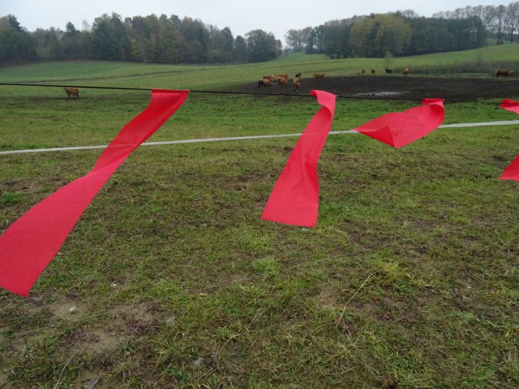 fladry, ochrona zwierząt gospodarskich, RDOŚ w Olsztynie, Justyna Januszewicz