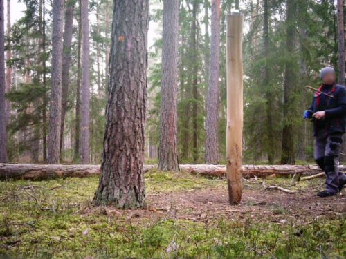 złodziej fotopułapki, KPP Augustów, Mazurki, powat augustowski