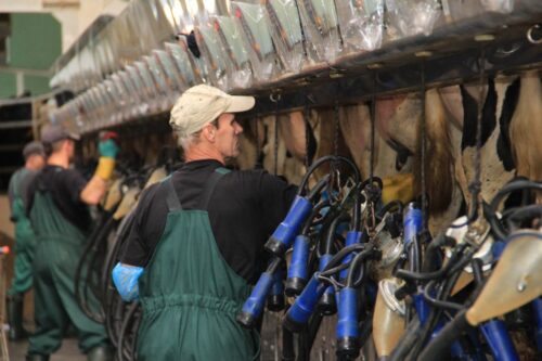 obcokrajowcy, pomoc w gospodarstwie, pracownicy, koronawirus