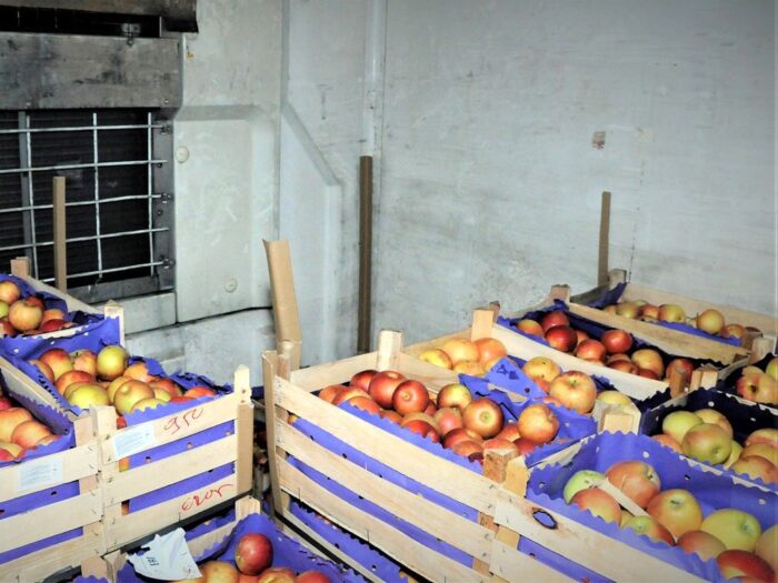 Związek Sadowników RP, sektor owocowy, epidemia koronawirusa, rynek owoców