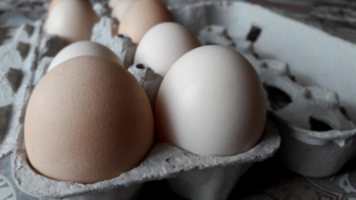 jaja, eksport, tajlandia, żywność