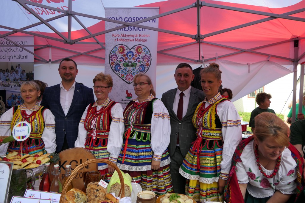 Koła gospodyń wiejskich, organizacje pozarządowe, zeznanie podatkowe CIT 8