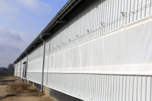 chlewnia kurtynowa, tucz kontraktowy, wentylacja kurtynowa, produkcja tuczników