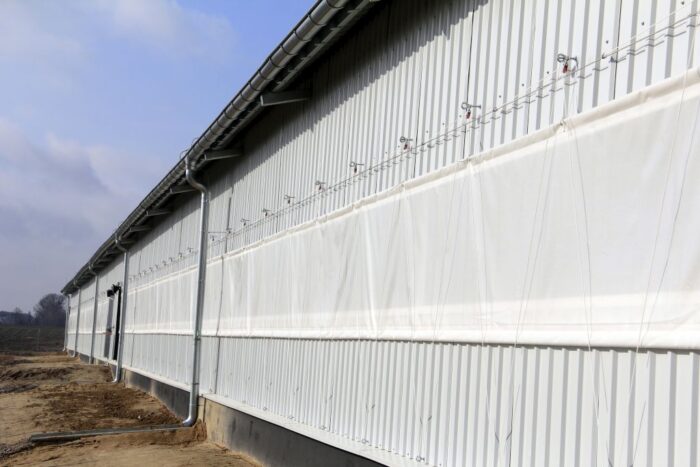 chlewnia kurtynowa, tucz kontraktowy, wentylacja kurtynowa, produkcja tuczników